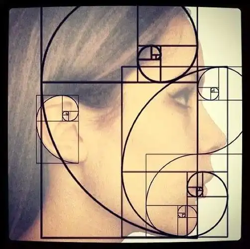 黄金比例- 知名百科