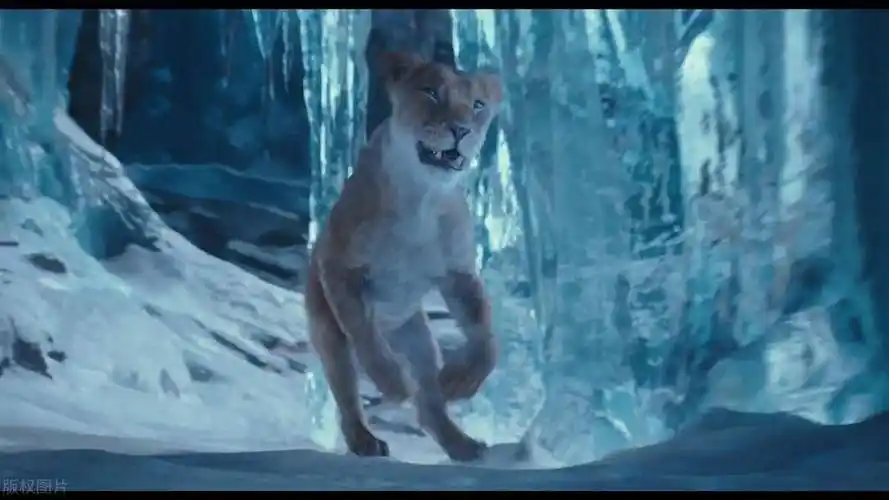 电影《 狮子王:木法沙传奇》深度解析