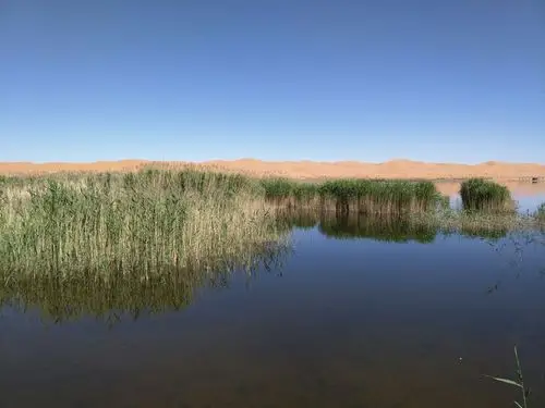 旅行 圣洁月亮湖,优美南寺位于内蒙古自治区阿拉善盟阿拉善左旗境内