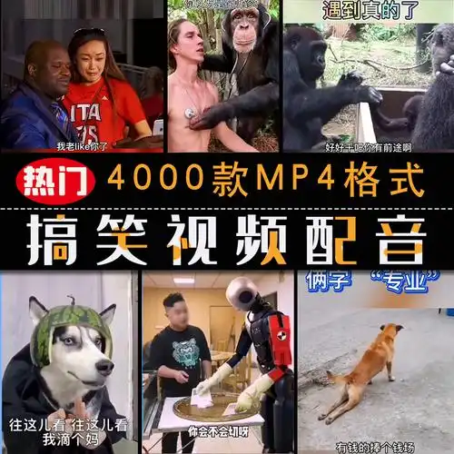 搞笑短视频配音自媒体热门表情段子幽默宠物生活综艺情感视频素材