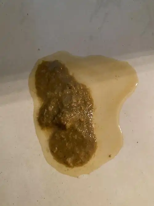 【讨论】猫咪呕吐,今天晚上除了断食还可以做些什么(有呕吐.