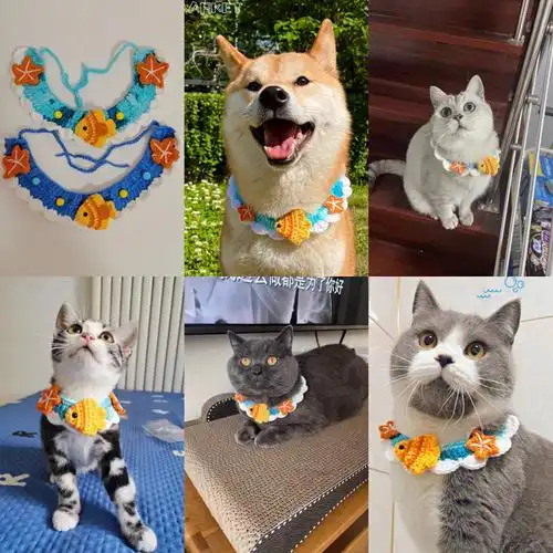 宠物项圈