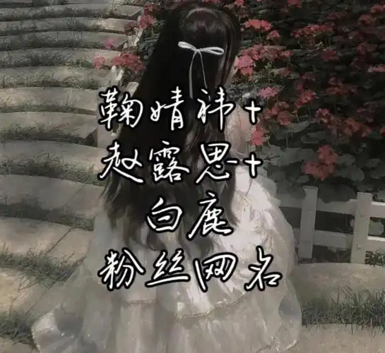 鞠婧祎赵露思白鹿粉丝网名
