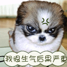 我很生气后果严重gif表情gif表情包gif