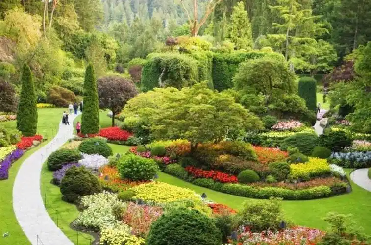 解析花境设计,探索草与木的景观世界-景观植物-筑龙园林景观论坛