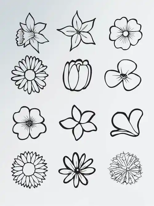 花朵图片简笔画 花朵图片简笔画彩色