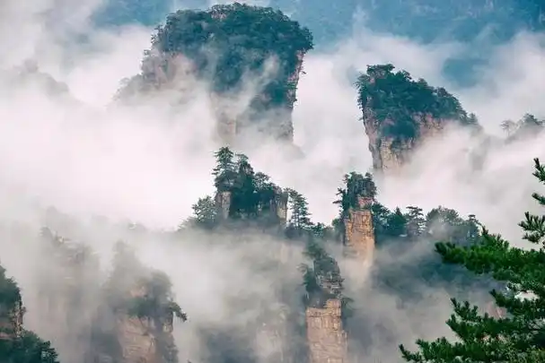 其险峻的山峰,奇特的地貌,丰富的植被和变幻莫测的云雾,构成了一幅幅