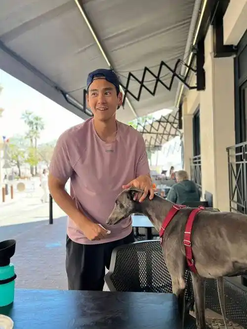 瞄准戛纳|巩俐佟丽娅抵达,彭于晏遛狗,梅姨将是红毯主角