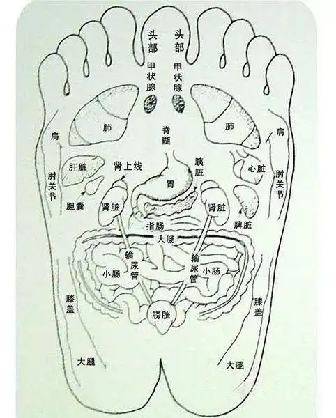 最全的脚部高清穴位反射图哪里有病一看便知果断收藏