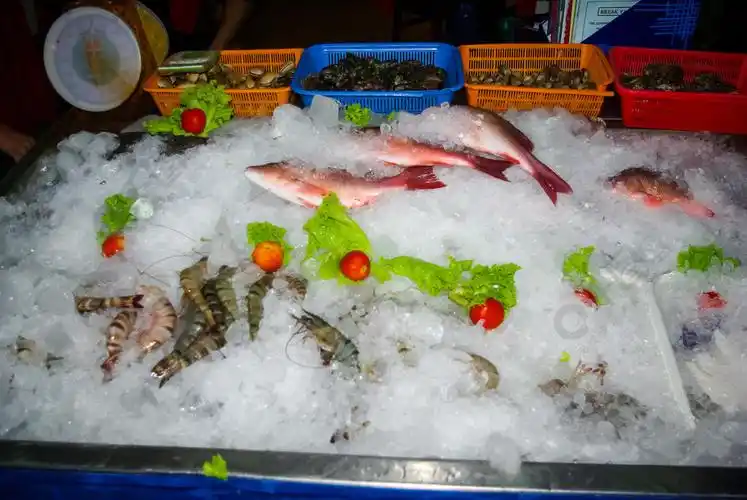 鱼和海鲜躺在柜台上的冰上鱼和海鲜放在柜台上的冰上鱼和海鲜放在柜台