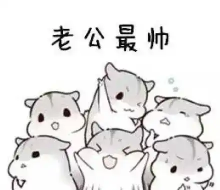 老公超棒的表情包 - zx图片网,一个充满欢乐的表情包图片乐园