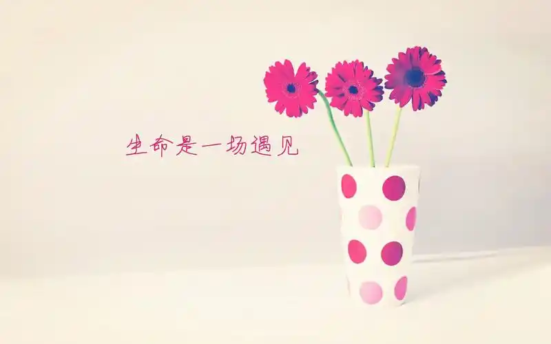 小清新文字好看的壁纸图片