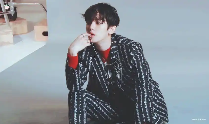 宋孑然〗边伯贤素材