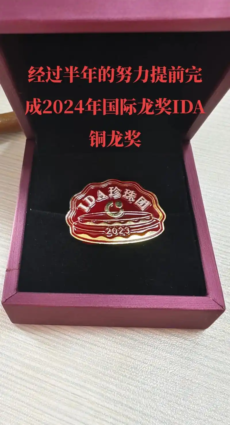 经过半年的努力提前完成2024年国际龙奖ida铜龙奖,接下来 - 抖音