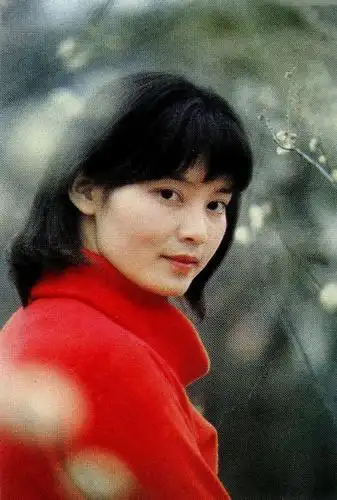 潘虹hong pan的图片