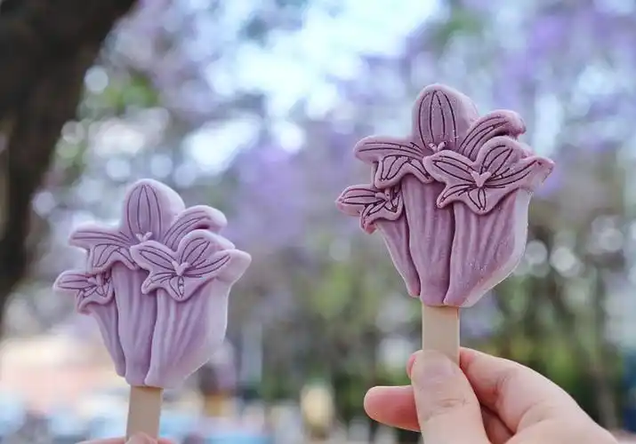 你高攀不起的网红雪糕来自东北