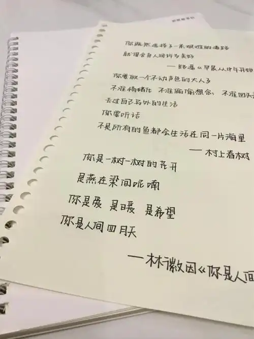 奶酪陷阱字体