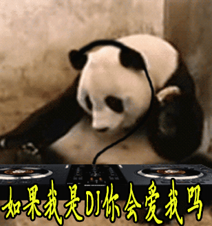 大熊猫如果我是dj你会爱我吗gif动图_动态图_表情包下载_soogif