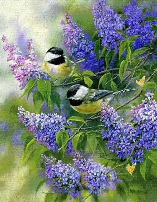 150张会动的照片,看一眼就入迷,太绝了!