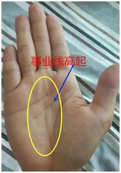 手相这条线越是深长事业运越平顺