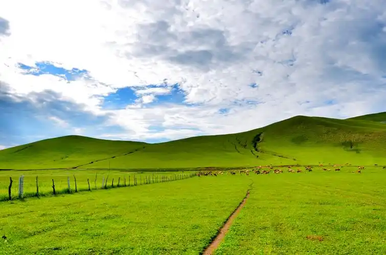 草原上的有云飘过扎鲁特旗山地草原原创摄影