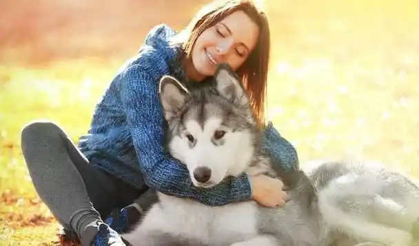 它们害怕孤独,在生活中大部分狗狗都是粘人的,喜欢跟主人一起玩耍,一