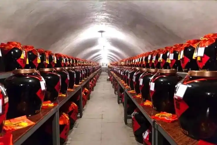 臻酒堂地下恒温酒窖