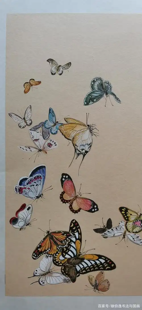 一幅没有其他花卉衬托的百蝶图