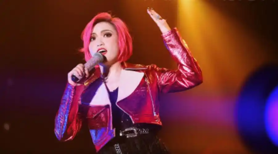 智能教育网,珠三角国际教育,大数据精准营销,庄心妍演唱会