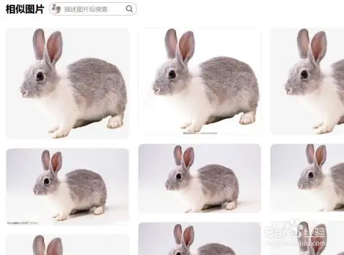 百度搜索怎样通过图片搜索相似的图片