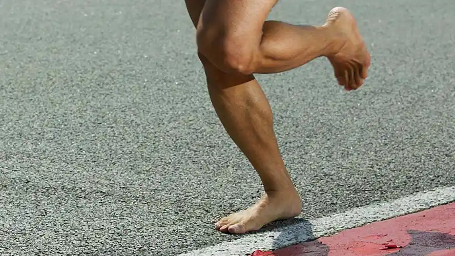 有项研究指出,4周的光脚跑步训练会导致受试者的足长变短(通过x光片