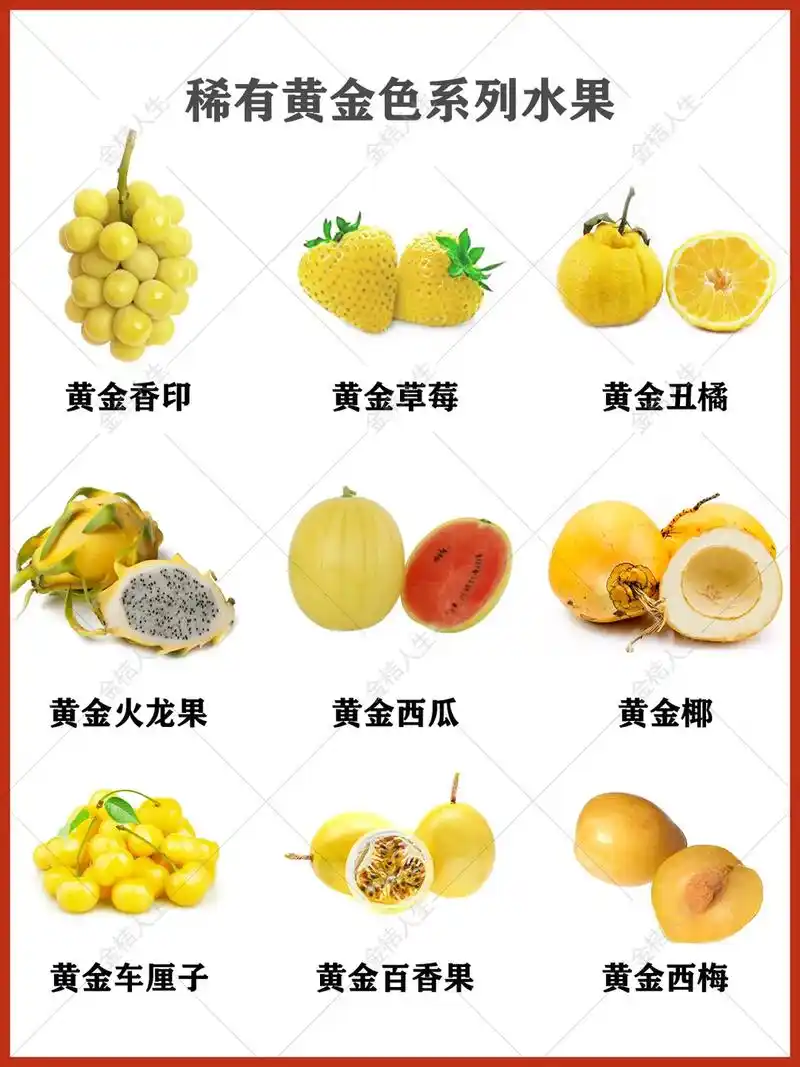 第4集|稀有黄金色水果|看看你吃过哪些?黄色的水果有不少,有 - 抖音