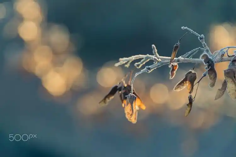 500px精选氢视窗壁纸 - 资源共享 - 一加手机社区官方论坛
