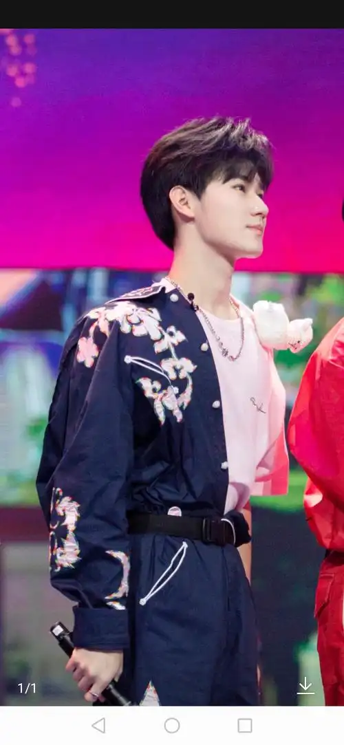 全能偶像张真源,燃爆全场吉他手,音域宽广音色魔王,舞蹈力.