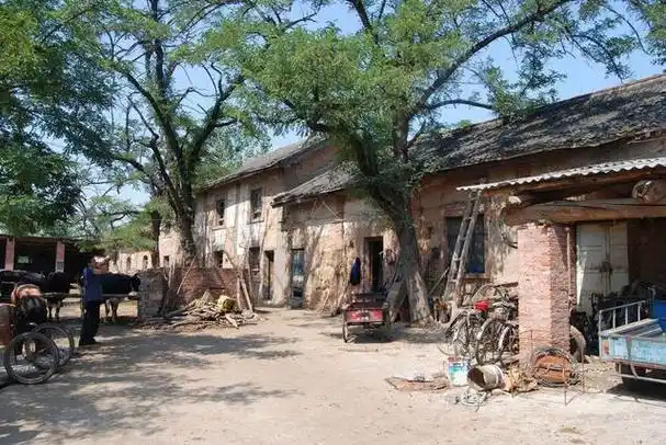 60年代的农村饭都吃不饱,为何让人怀念?老农民的话值得反思