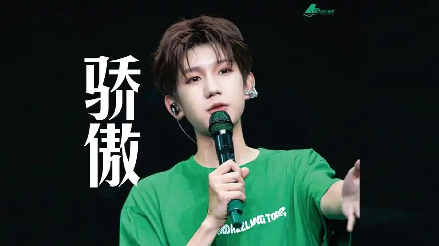 喜欢王源这首骄傲,好听还感人,人间值得