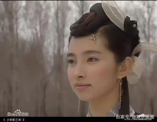 李冰冰少年张三丰