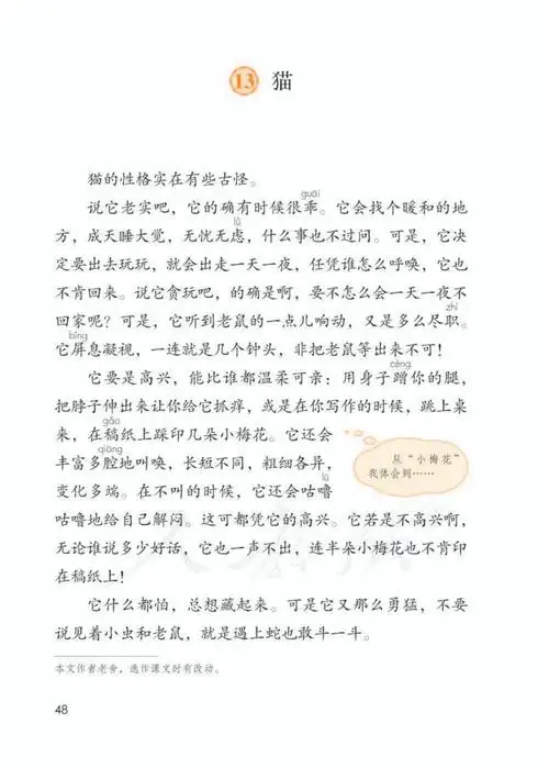 部编版四年级下册第13课《猫》课文朗读,知识点,图文解读