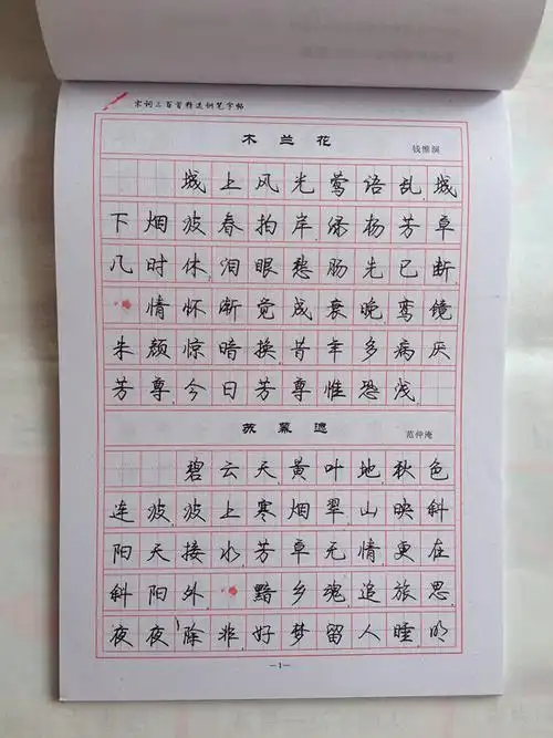 中国名家书法 学生/成人练字钢笔字帖行书罗扬字帖