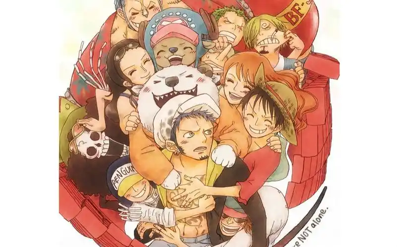 草帽海贼团第十人!