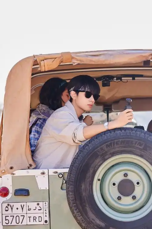 胡先煦花儿与少年