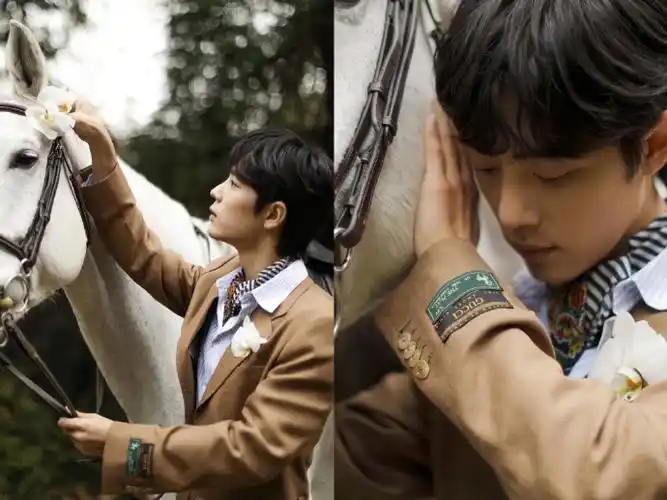 肖战白马骑士 肖战《时尚芭莎》封面内页大片!