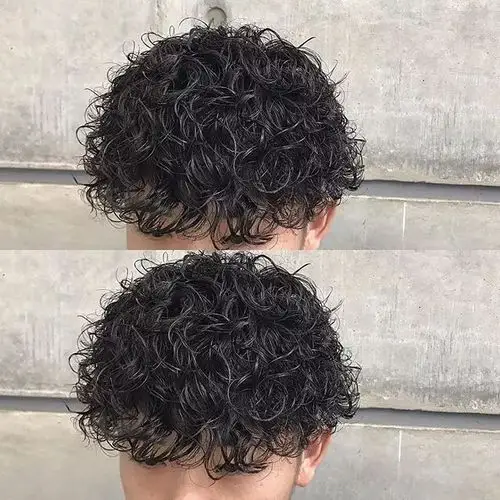 做可爱男友泰迪烫