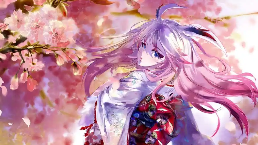 樱花动漫唯美二次元少女