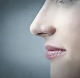 鼻子鼻梁低运势(鼻梁低的命运)-星座大全-小星座网