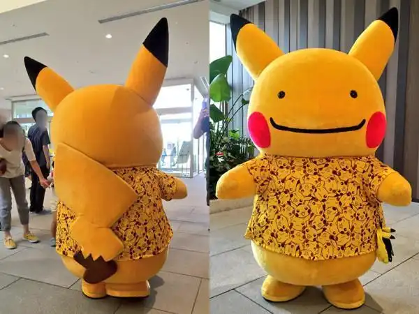 原创盘点国内外"野生版"的皮卡丘,每一款都笑点十足!