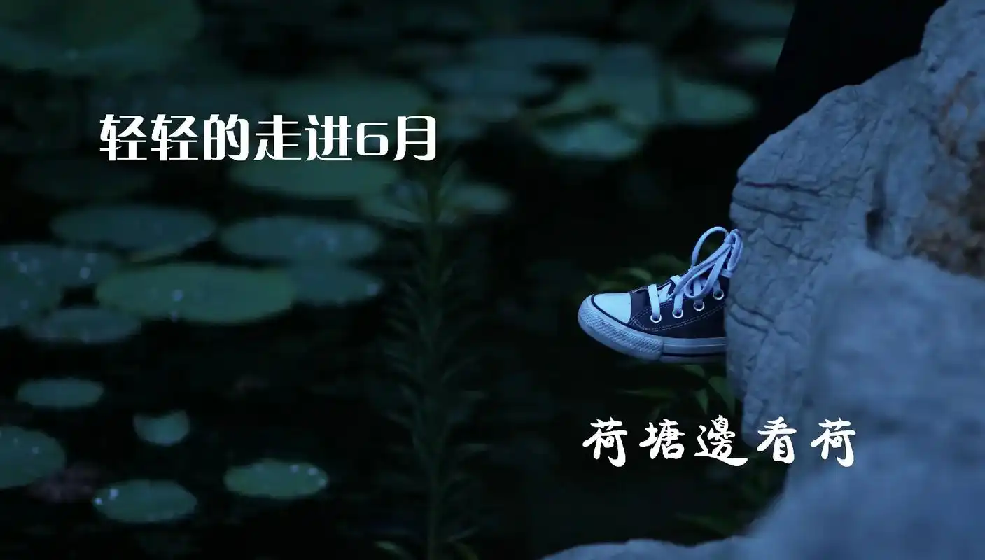 我在等风也等你.#作品欣赏 #夏夜 #博山公园 #夏日荷花  - 抖音