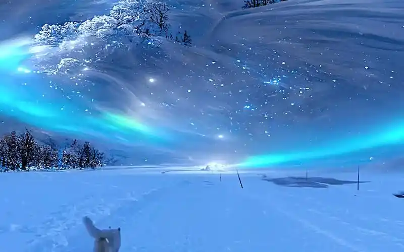 梦幻蓝色星空,冰天雪地,满眼都是浪漫!