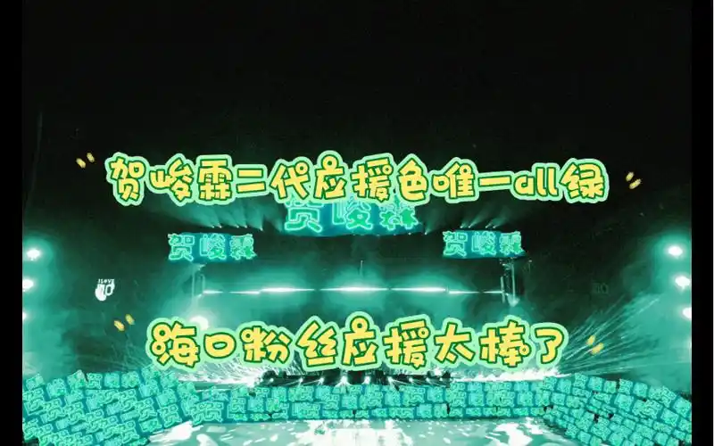 贺峻霖粉丝应援(海口演唱会),贺峻霖应援色2代唯一all绿