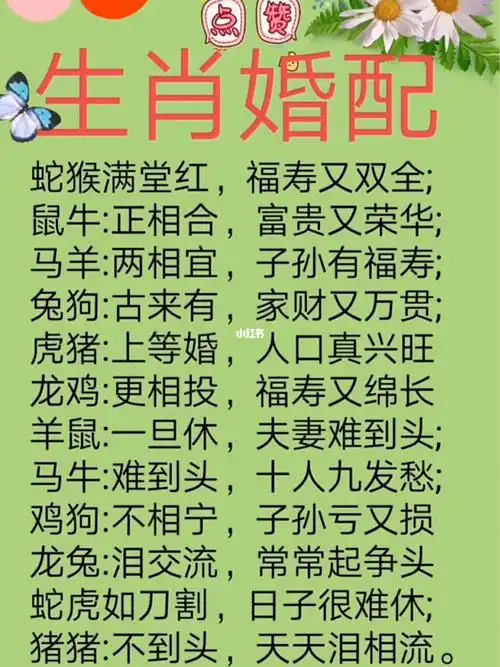 男女十二生肖配对表 1属鼠的属相婚配表 鼠宜配猴鼠牛龙大吉